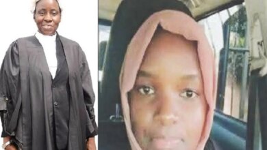 197 Women Killed in 2025 Report