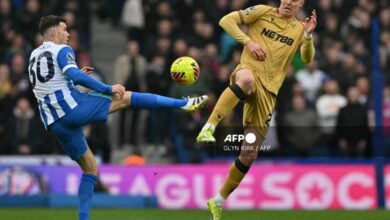 Palace beat Brighton 1-0 to end 12-game winless run