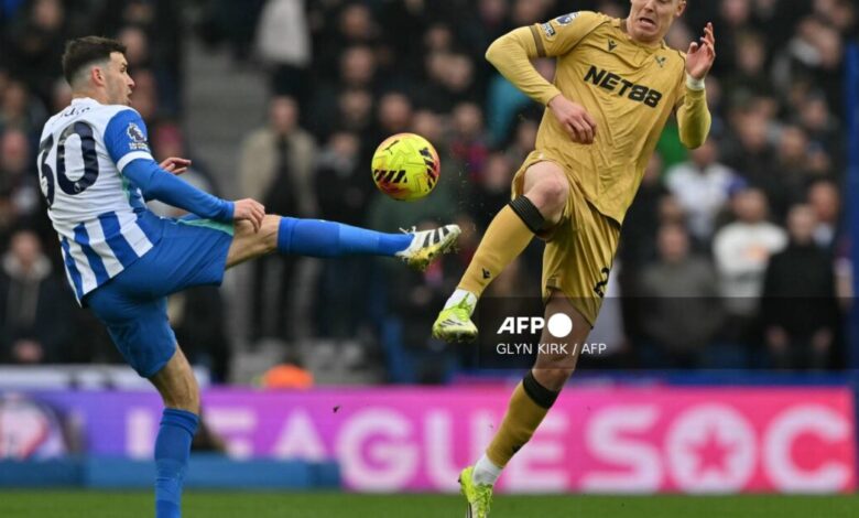 Palace beat Brighton 1-0 to end 12-game winless run