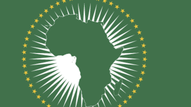 AU Seeks Support of Nigerian Navy to Host Pan-African Naval Exercise in 2027 – THISDAYLIVE