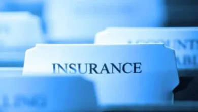 Firm Commences Use of Fintech in Insurance Product Distribution – THISDAYLIVE