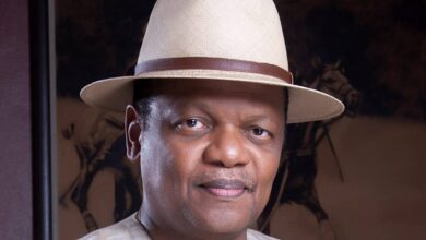 GoNigeria Calls for Deep Democratic Reforms, Expands Mandate Beyond Voter Mobilization – THISDAYLIVE