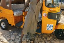 Police Arrest Teenager for Theft in Yobe State