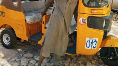 Police Arrest Teenager for Theft in Yobe State