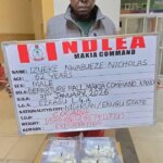 NDLEA Arrests Businessman with 95 Cocaine Pellets in Kano
