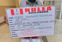 NDLEA Arrests Businessman with 95 Cocaine Pellets in Kano
