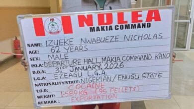 NDLEA Arrests Businessman with 95 Cocaine Pellets in Kano