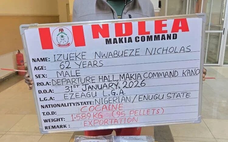 NDLEA Arrests Businessman with 95 Cocaine Pellets in Kano