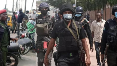 Troops Uncover, Dismantle Three ISWAP Facilities, Eliminate Five Top Commanders, 27 Fighters – THISDAYLIVE